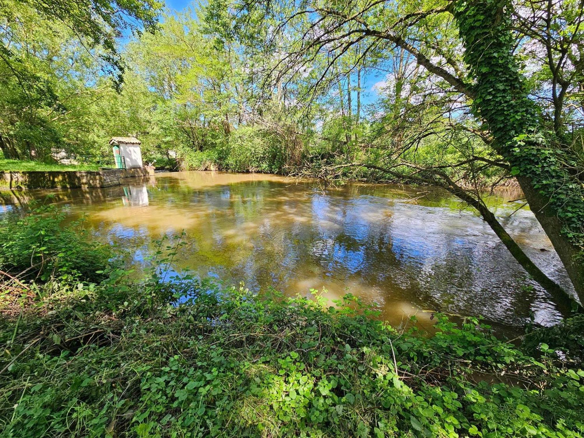 Le Moulin De Chazelle Bed & Breakfast Cormatin ภายนอก รูปภาพ
